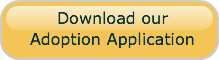 Download the adoption application