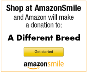 Amazon-Smile