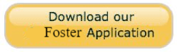 Download our Foster Application