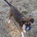 samantha-4