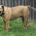 20220116-george1
