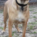20220116-george4